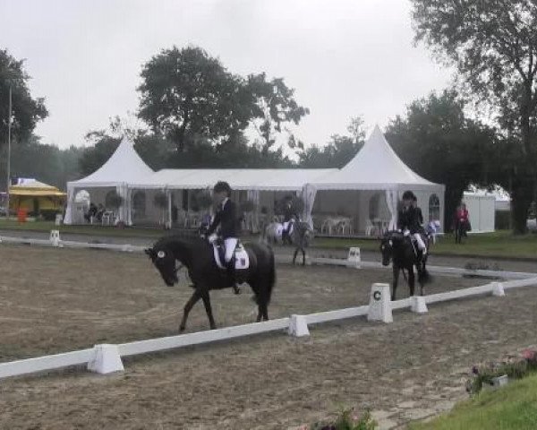 Video of Apollo D, Caillou 27, Andante D