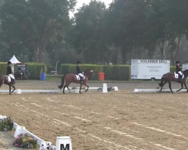 Video von Deistar, Sam 523, Newsunny