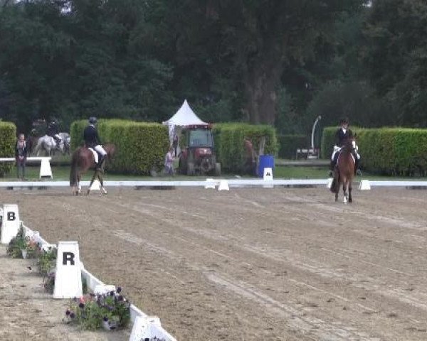 Video of Maxi L