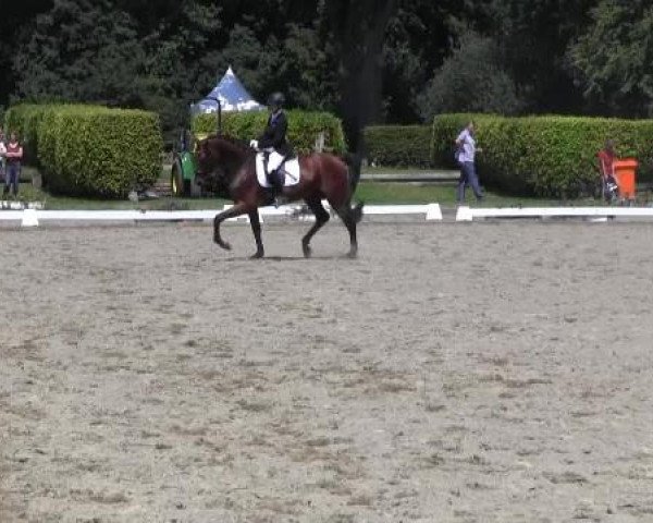 Video von Farbenspiel, Escorial 159