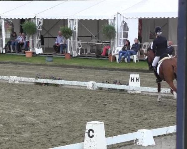 Video von Drei D AT, Download AT