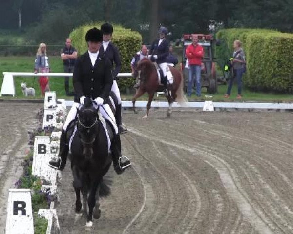Video of Top Vidal, Tabaluga Star