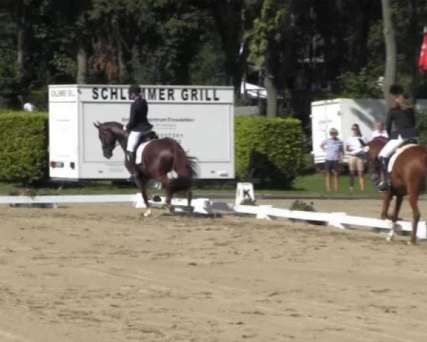 Video von Top Vivia, Voltaire 93
