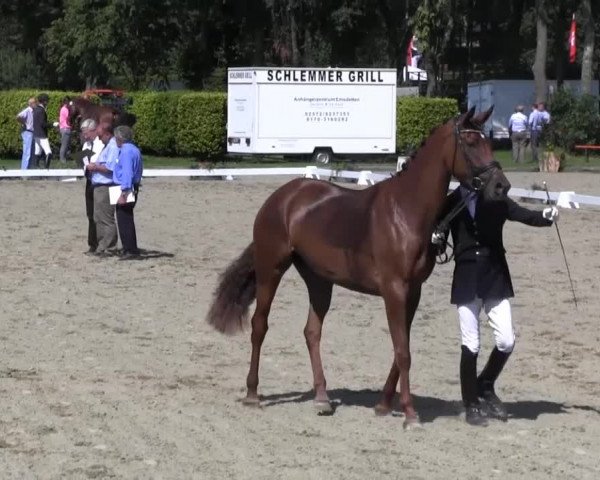 Video von Sausalitos, Top Vivia, Finley 90, Donna Mey, Sportsfreund, Fiderella 2, Rafinja 4, Lolita K, Shaolin 12, Rihanna 57