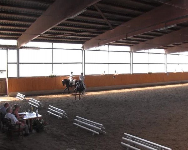 Video von Ghost Rider, Phillis 17