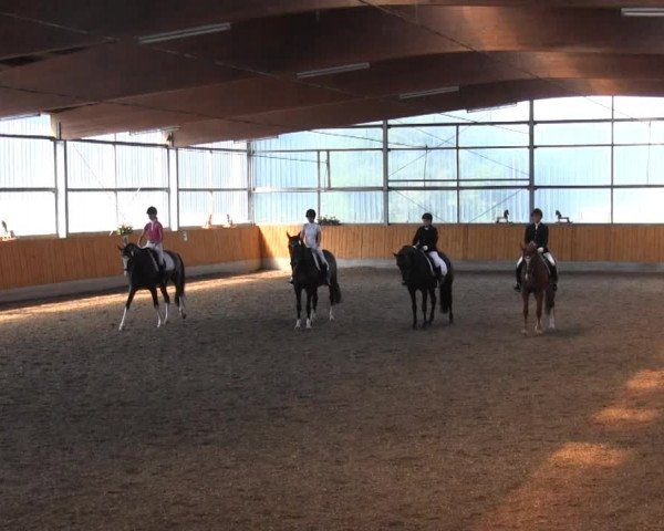 Video of Dance And Fly 5, Abby, Daily News 7