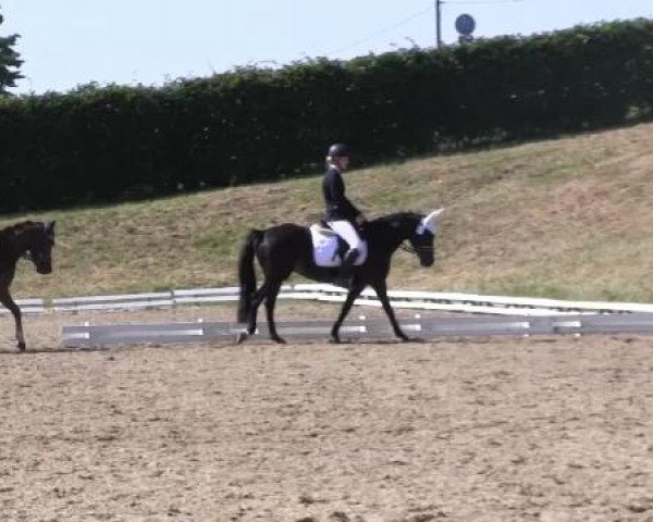 Video of Die f.Lady Di, Heiligenbergs Doubtfire, San Louis 4