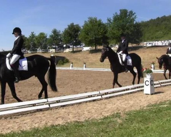Video of Felicitas R, Wilanow, Lugana K