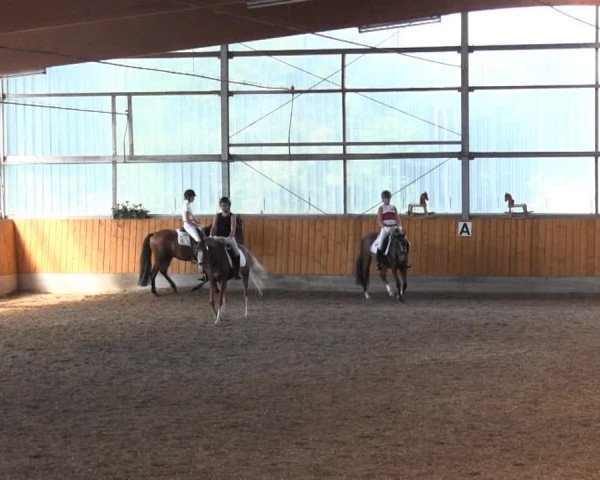 Video von Donnerzauber 4, Carlotta