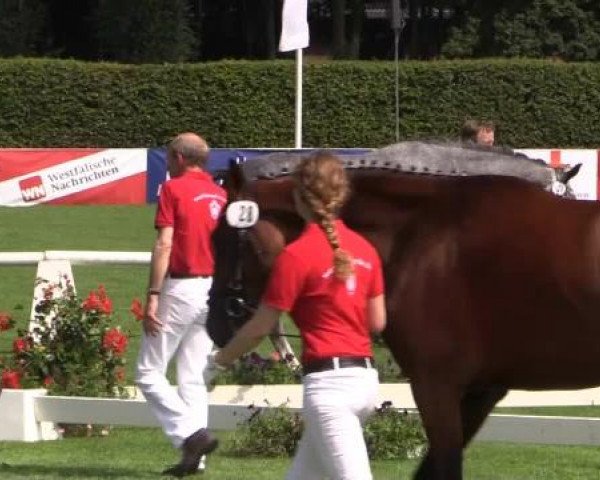Video von Contelina, Coco Chanel, Cadya, Flying Valerie, Diamant's Dollargirl, Celena, Lady Moonlight, Flipper Lady