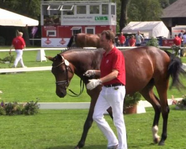 Video of Chess Queen, Carissma, Chakira TF NRW, Chelsey, Crazy Crime Time, Columbia R, Congress de Ferra