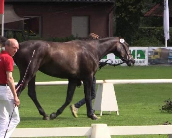 Video von Chancy, Chanel, Claire, Cellatrix Lestrange, Colette, Celest