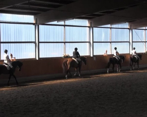 Video of Fürstin Fatima, Freedom V, Florina K