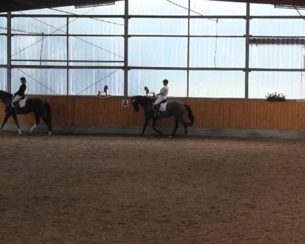 Video von Donje, Donna Carina 7