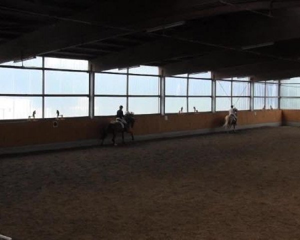Video von Tiffany 333, Willi 364
