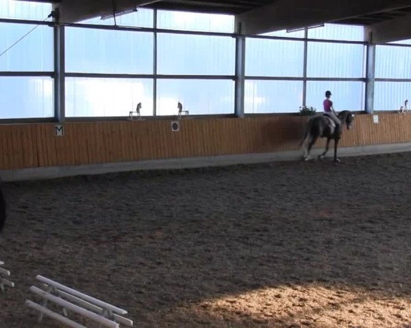 Video of Looking Forward, Calle B