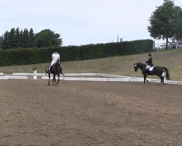 Video von Pik Point 3