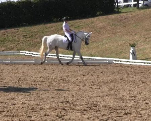 Video of Legolas 126, Lucatelli, Izera