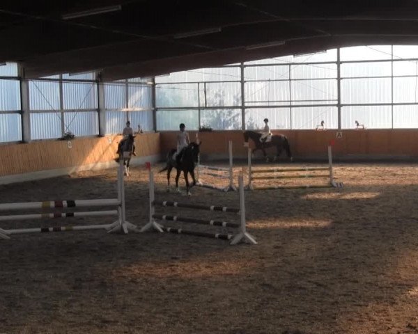 Video von Flying Frieda 2, Finley ME