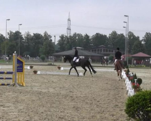 Video di Forward Looking