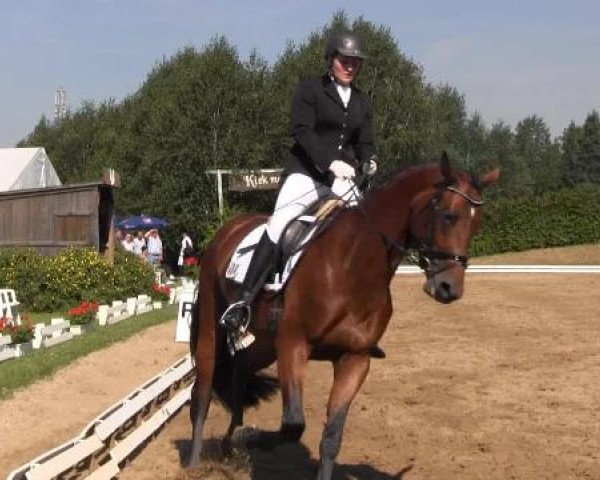 Video von Filius Bonacci H, Quinterra 2