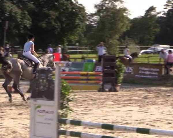 Großes Reit- und Springturnier Herbern 2014 17.07.2014
20/2 
Catinka unter Dörte Tönnissen 