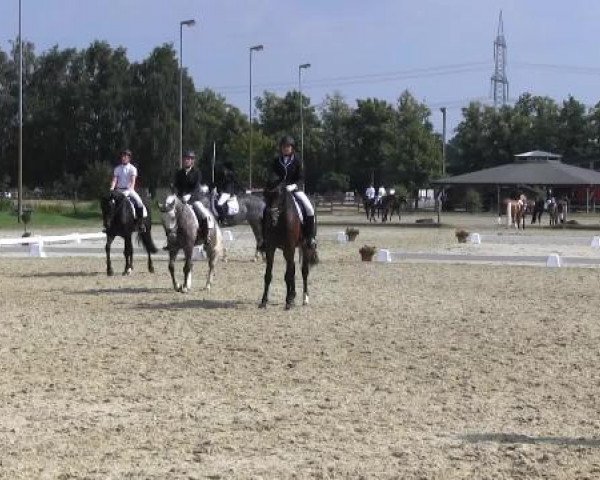 Video of Darc Piccolo, Cavaluna 5, Fianos-Pünktchen