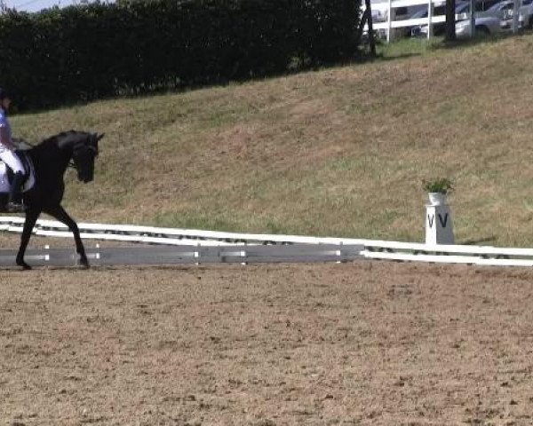 Video von Lux Turino