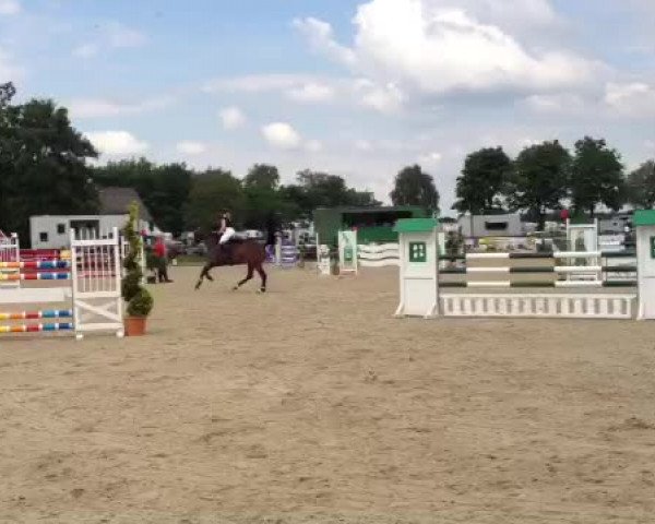 Video of Coco 216