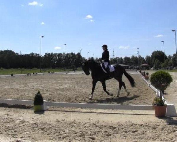 Video von Contano S, Conny, Cascarda 4