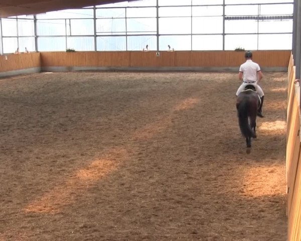 Video of Hirtenzauber, Fidibus K