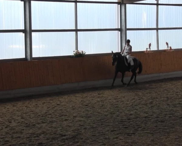 Video of Rafinja 4, Tabaluga Star