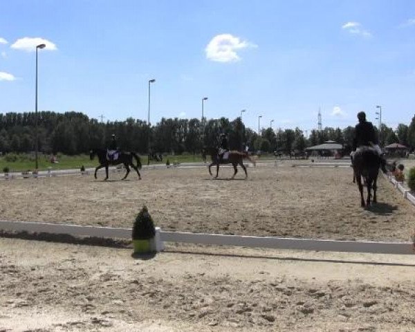 Video of Roceur, Pauline, Releika