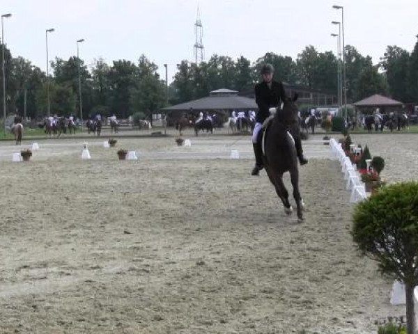 Video von Phillis 17, Mastro's Salivan