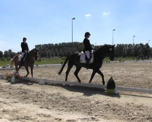 Video von Gremlin 28, Rusticus 9, Calle Cool FK