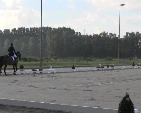 Video of Granados 11, Amontino K, Cäpt'n Sharky