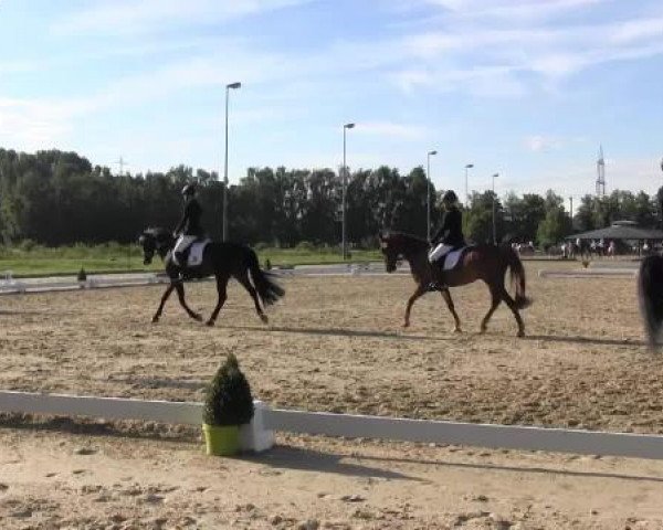 Video of Nemo, Nemo vom Purnitzgrund, Velvet