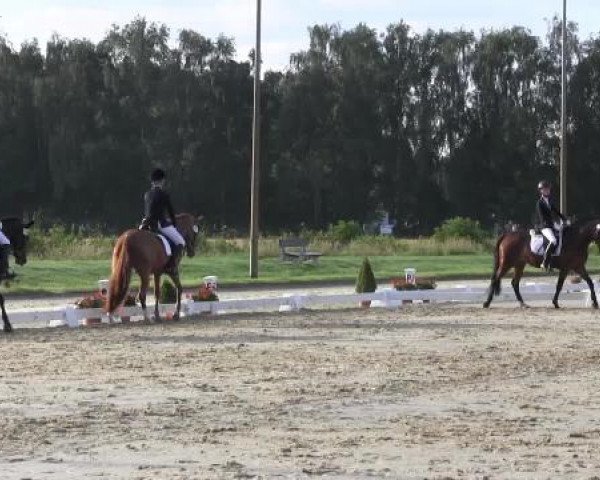Video von HET Areadia, Phillis 17