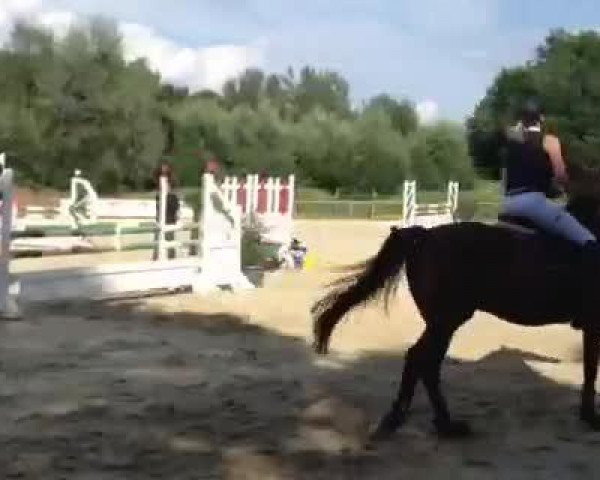 Video of Qualifying