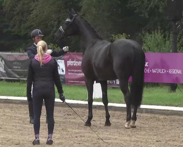 Video of Dantez 2, Fee Caren