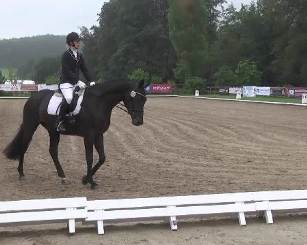 Video of Dantez 2, Fee Caren