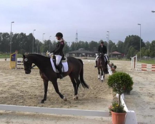 Video von Starlight JB, C'est la Vie 155