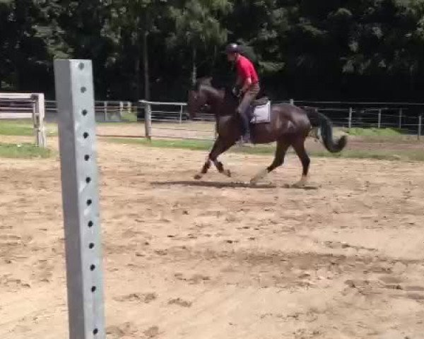 Video of Casparr
