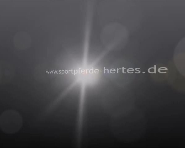 Video von Lantus Ask
