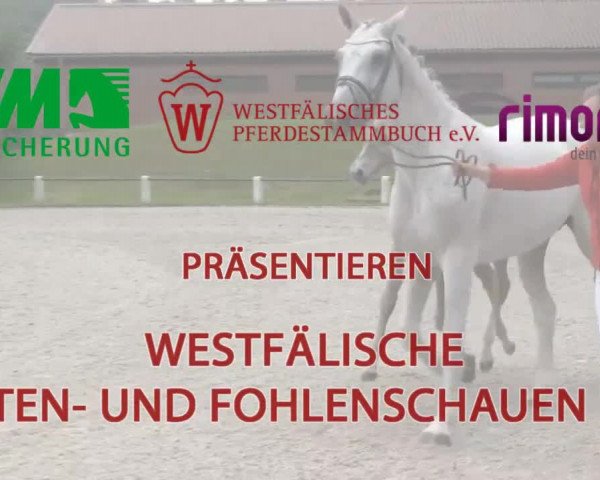 Stuten- und Fohlenschau in Brakel am 08.07.2014