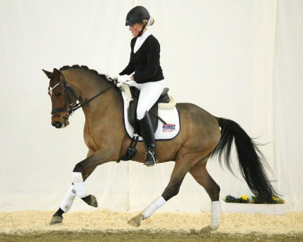 Dressurpferd Casus Knacksus (Deutsches Reitpony, 2010, von Fs Coco Jambo)