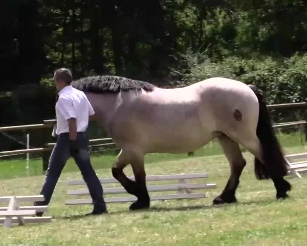Video of Nora