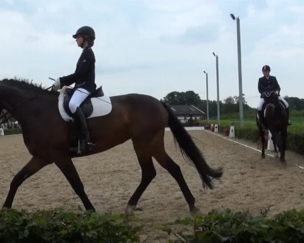 Video von Fritze Fröhlich, Fleur de Coeur 4, Florence Joy 4