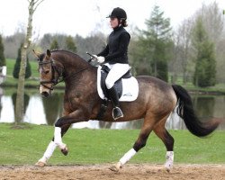broodmare Newlands Una Luna (German Riding Pony, 2009, from FS Chambertin)