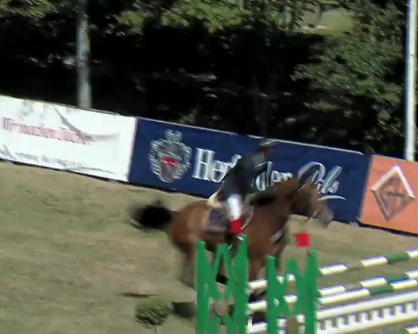 Bargstedt 2014